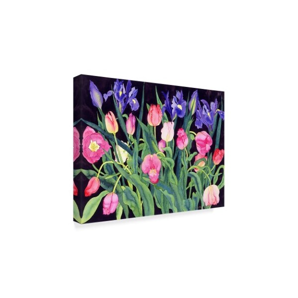 Carissa Luminess 'Tulips And Irises' Canvas Art,24x32